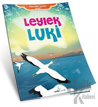 Leylek Luki - Kavramlar