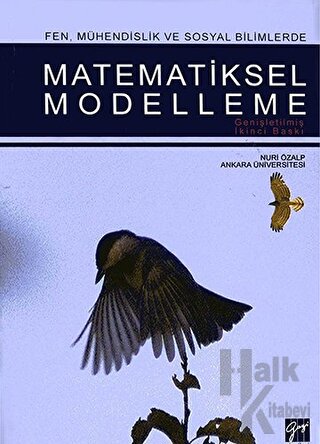 Matematiksel Modelleme