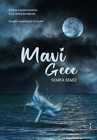 Mavi Gece