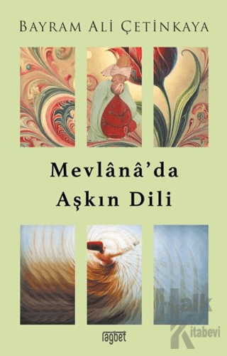 Mevlana’da Aşkın Dili