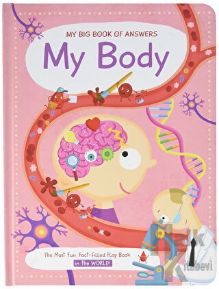 My Big Book of Answers: My Body (Ciltli)