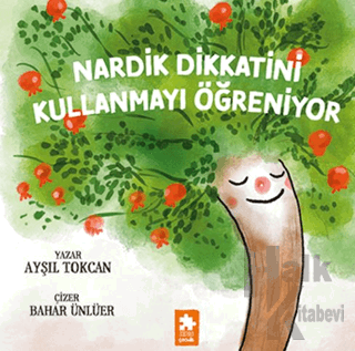 Nardik Dikkatini Kullanmayı Öğreniyor - Halkkitabevi