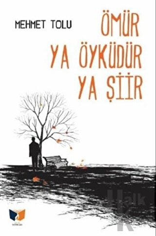 Ömür Ya Öyküdür Ya Şiir