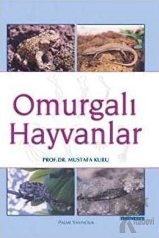 Omurgalı Hayvanlar