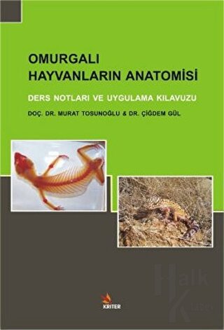 Omurgalı Hayvanların Anatomisi