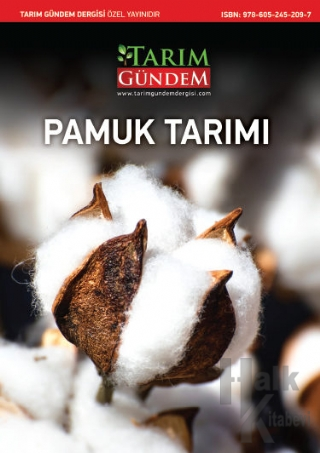 Pamuk Tarımı