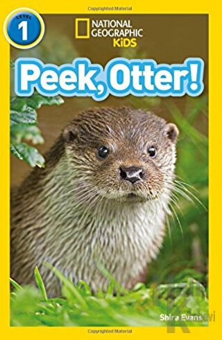 Peek, Otter! (Readers 1)