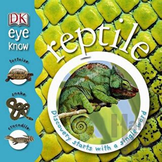 Reptile