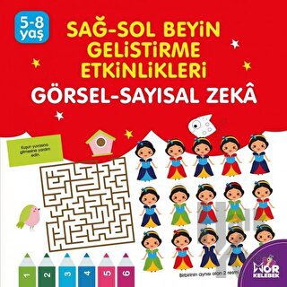 Sağ-Sol Beyin Geliştirme Etkinlikleri Görsel - Sayısal Zeka