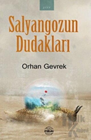 Salyangozun Dudakları