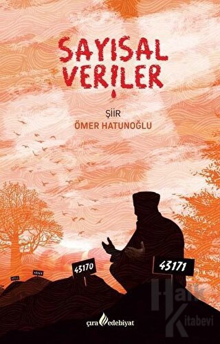 Sayısal Veriler