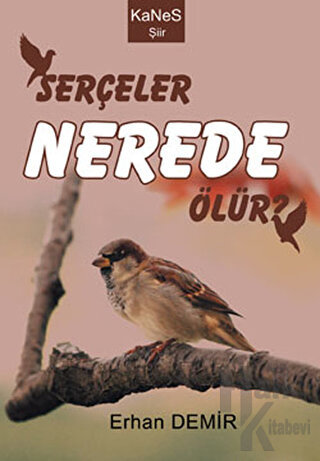 Serçeler Nerede Ölür?