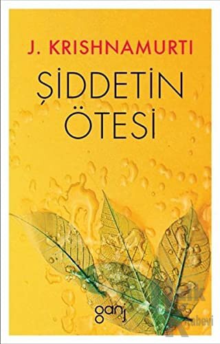 Şiddetin Ötesi