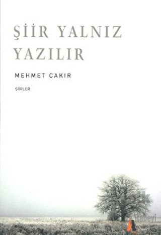 Şiir Yalnız Yazılır