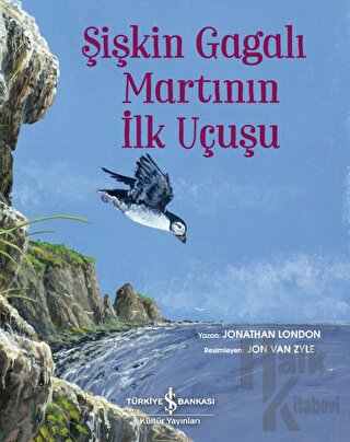 Şişkin Gagalı Martının İlk Uçuşu