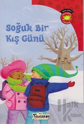 Soğuk Bir Kış Günü