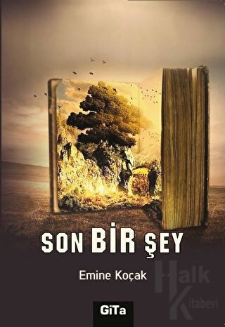 Son Bir Şey