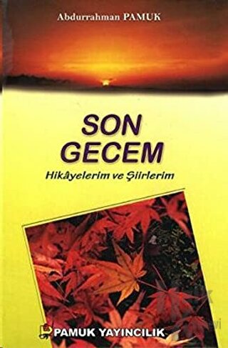 Son Gecem - Hikayelerim ve Şiirlerim (Kültür-003)