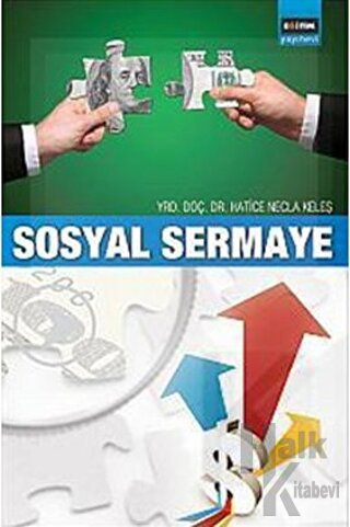 Sosyal Sermaye