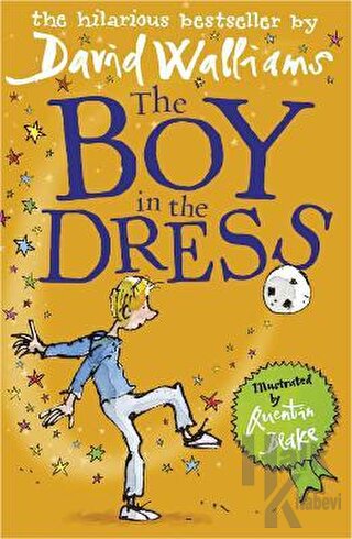 The Boy in The Dress