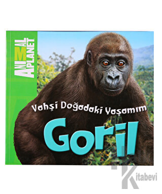 Vahşi Doğadaki Yaşamım: Goril