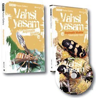 Vahşi Yaşam 2 - Alışılmadık Böcekler