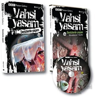 Vahşi Yaşam 2 - Denizlerde Yaşam