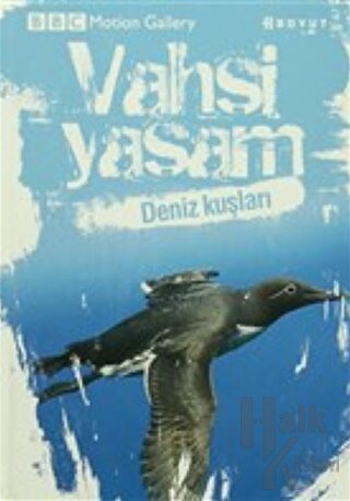 Vahşi Yaşam-Deniz Kuşları (Ciltli) - Halkkitabevi