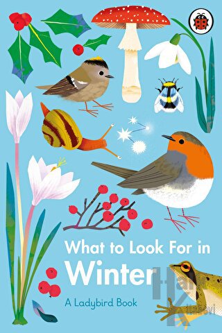 What to Look For in Winter (Ciltli)