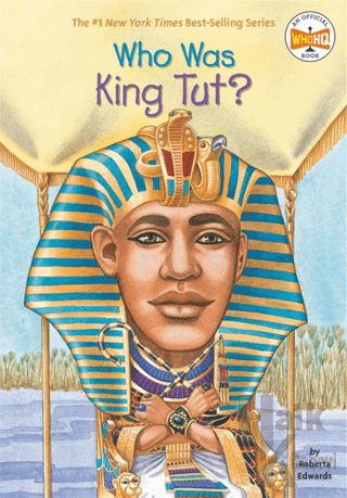 Who Was King Tut?