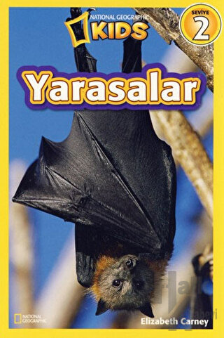 Yarasalar - Seviye 2