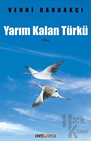 Yarım Kalan Türkü