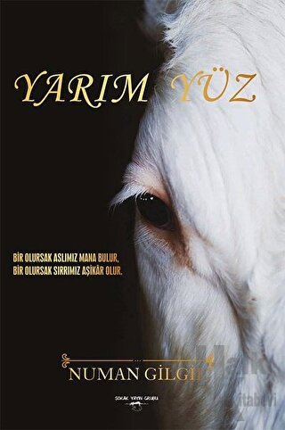 Yarım Yüz