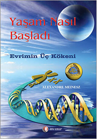 Yaşam Nasıl Başladı