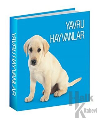 Yavru Hayvanlar (Ciltli)