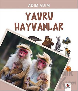 Yavru Hayvanlar